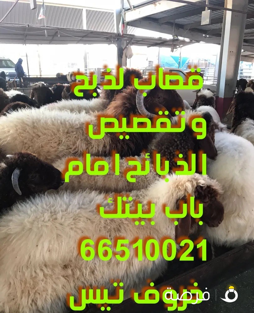 قصاب جزار لذبح وتقصيص الذبائح أمام باب بيتك لجميع مناطق الكويت/زبايح للبيع