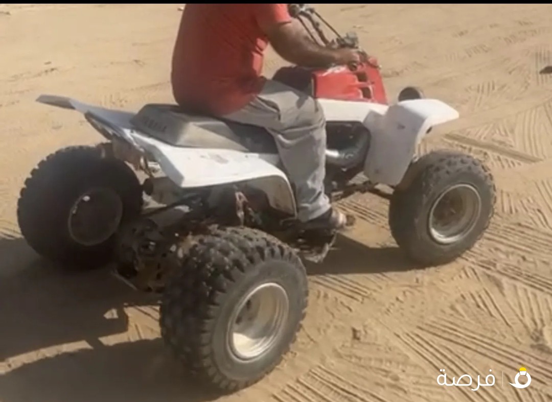 للبيع بانشي 2006 نظيف