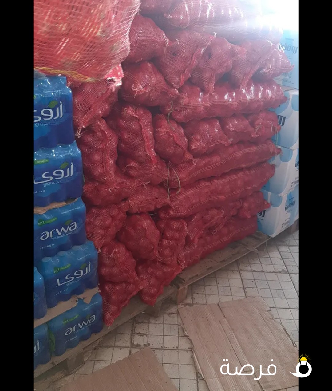 بصل هندى 2000 خيشة للبيع