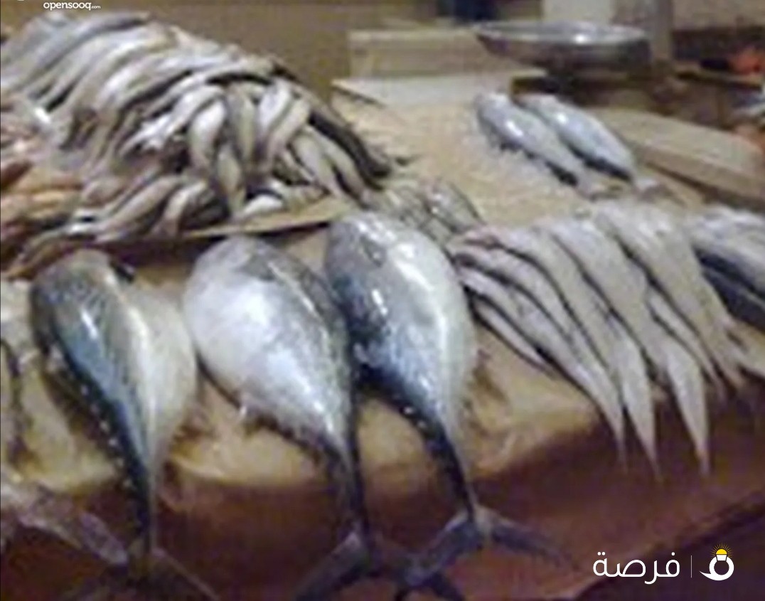 Fish all items