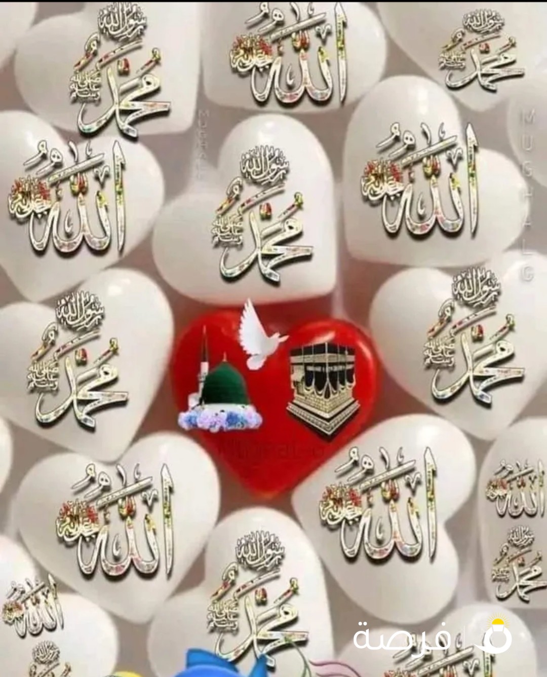 مطلوب.فرد.للستديو.مفروش.