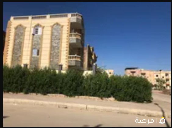 يحيى عبد النبى 55156596