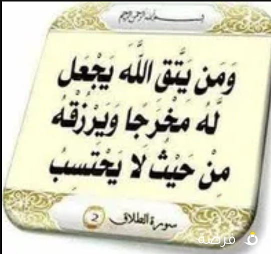 محمد فهمى