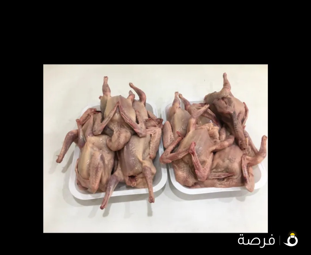 للبيع حمام وبط فرنسي ومصري طازج