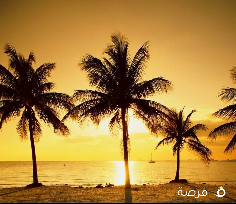للإيجار شقه بالنسيم الجديده