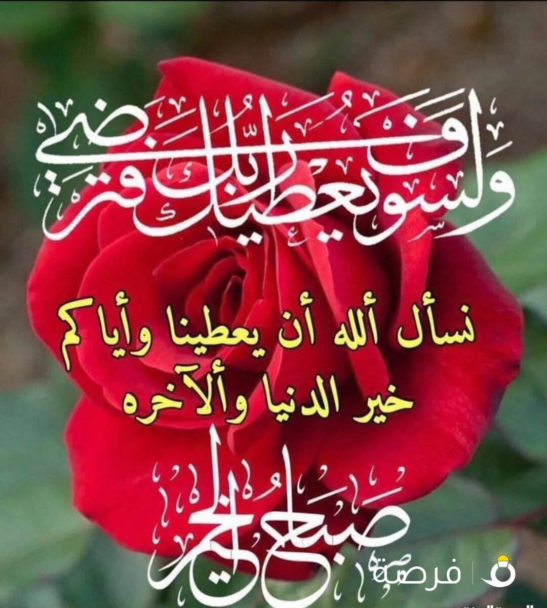 للإيجار محل تجاري دور أرضي مساحه 450متر بالعقيله