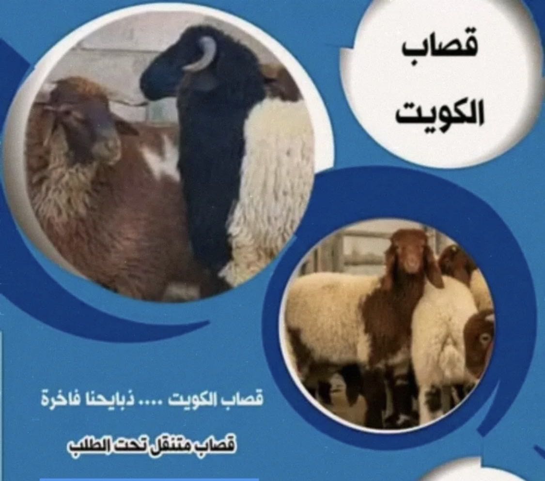 قصاب تحت الطلب جميع المناطق 24ساعة أقل الاسعار