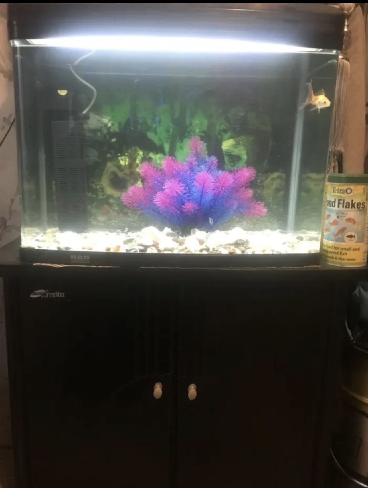 Fish Tank with Stand – For Sale