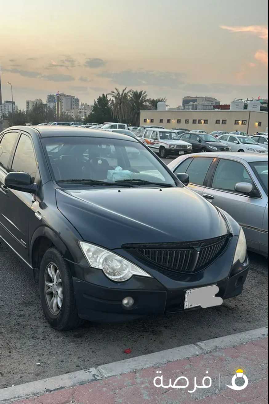 سانغ يونغ 2010