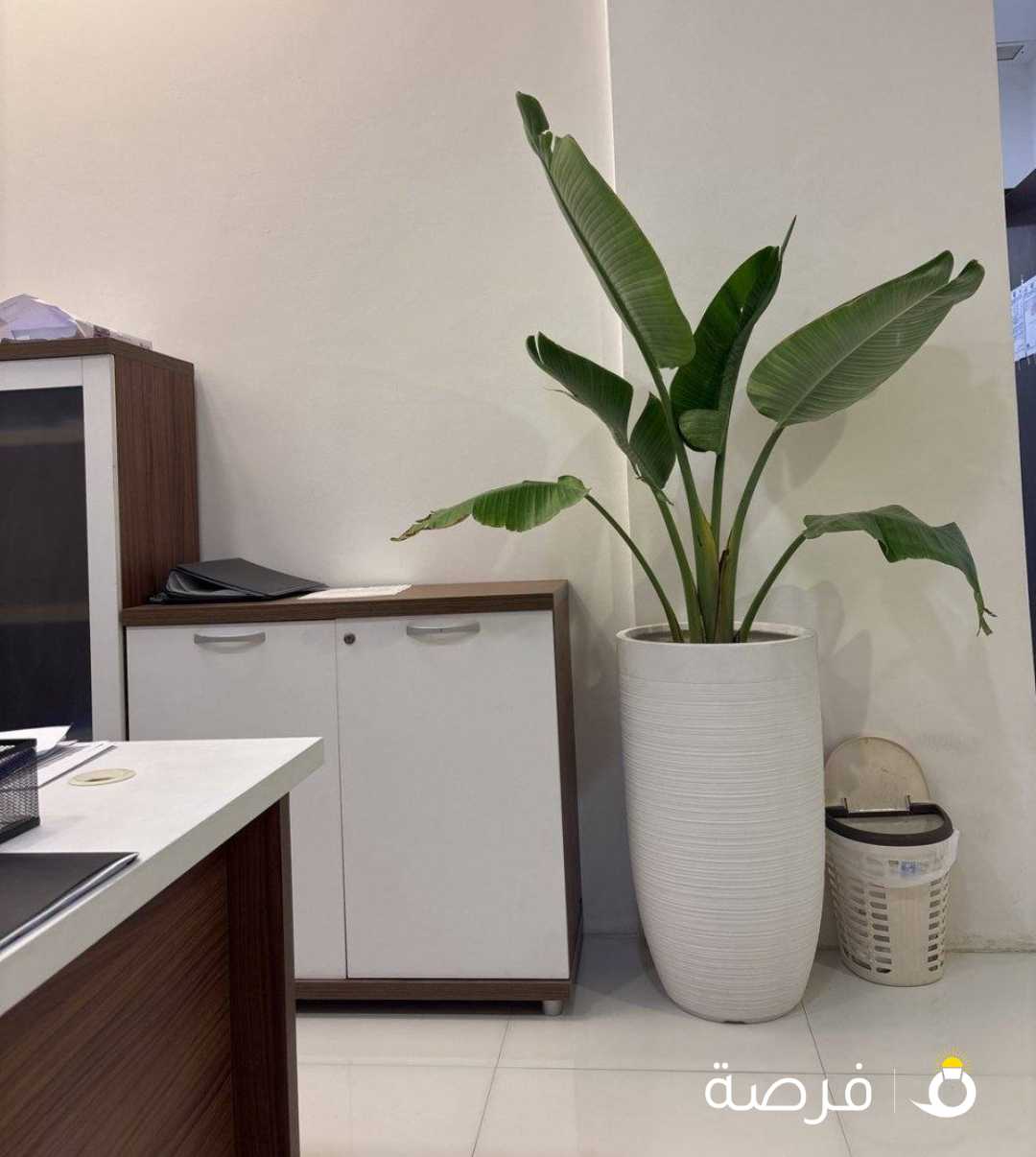 مطلوب موضف لديه خبره بتقديم معاملا.ت الشؤن
والتجاره وطباعه وتصوير