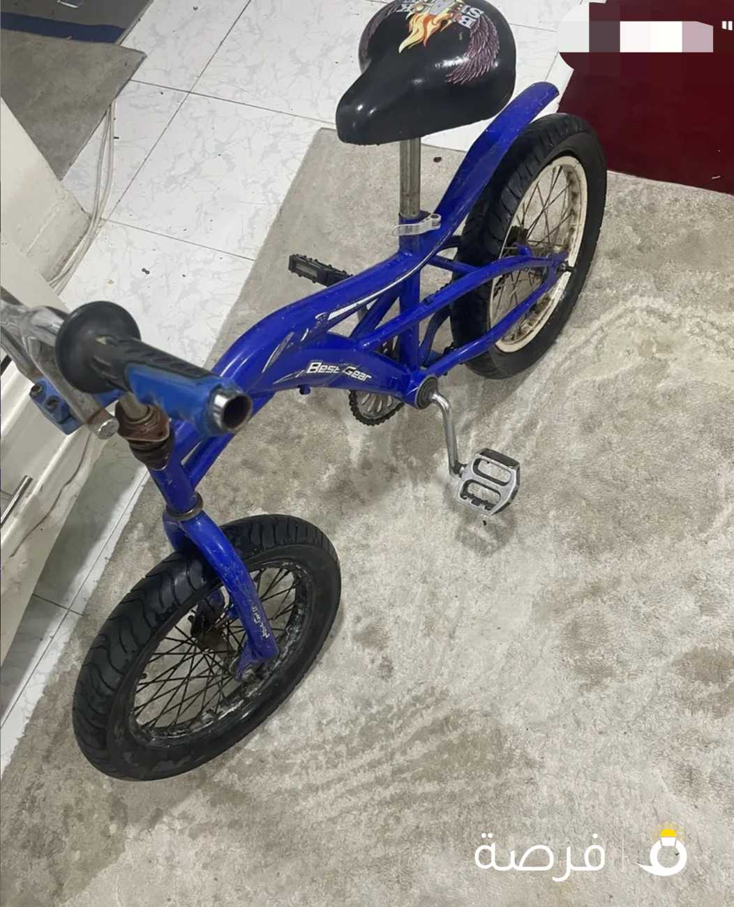 للبيع قاري كوبرا يتحمل وزن من 11 سنه لين 6