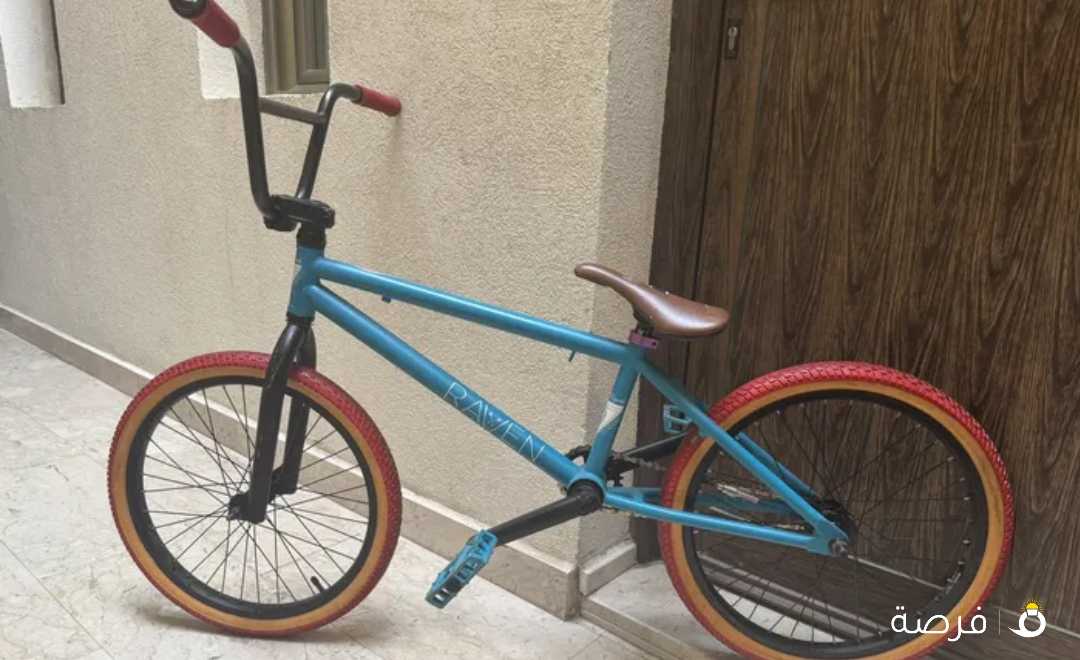 DK Custom BMX