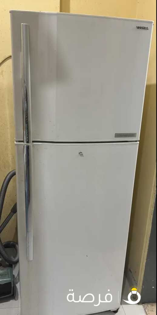 تلاجه شارب كبيره