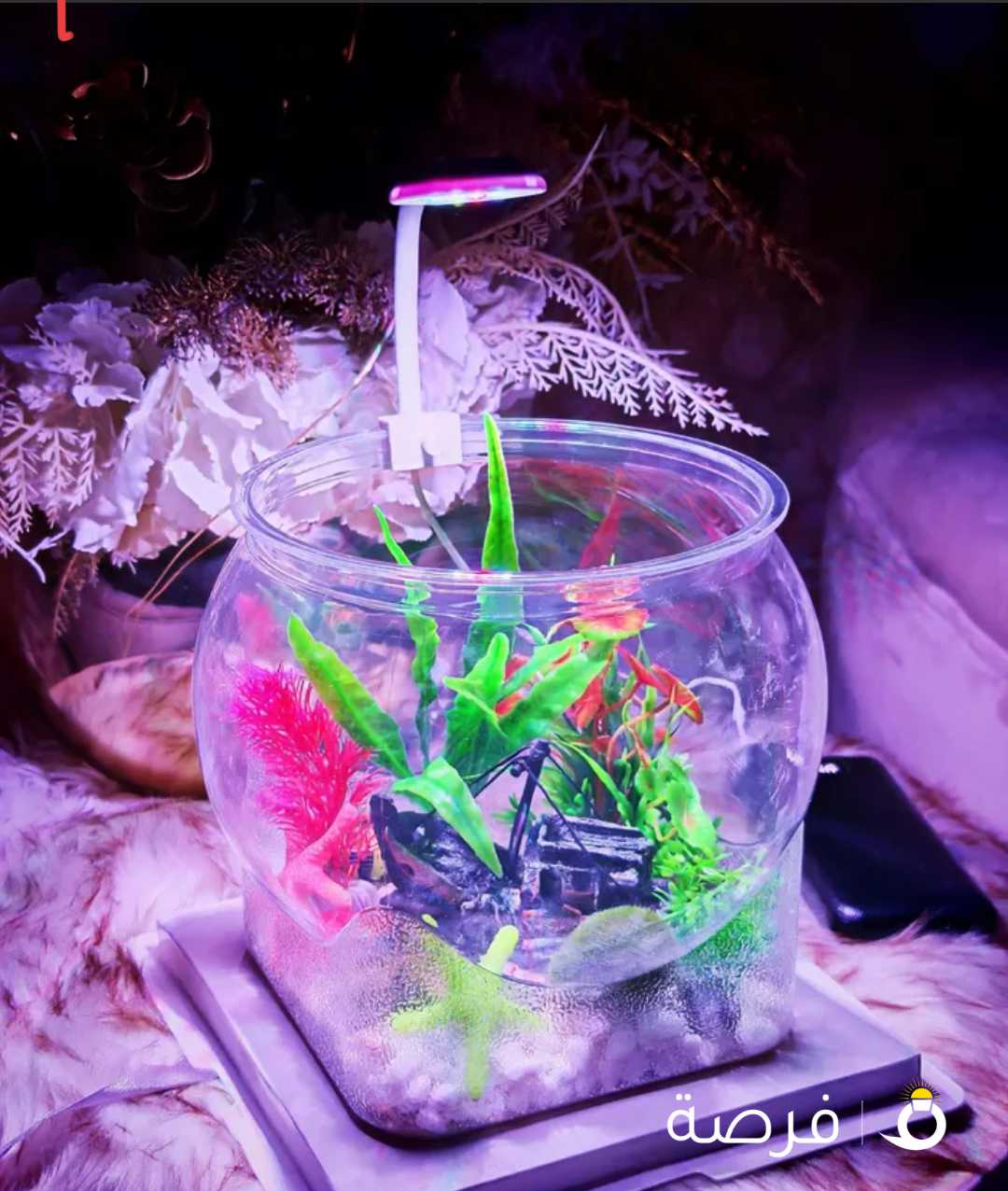 أحــواض أسماك الفايتر..