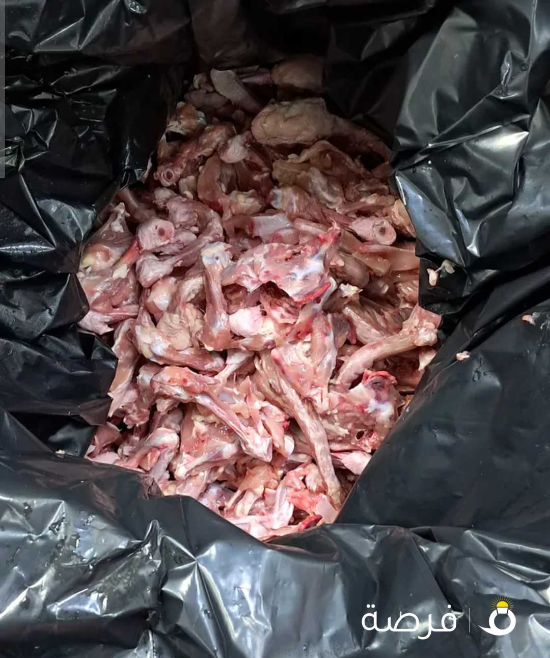 اكل كلاب (،هياكل وجوانح