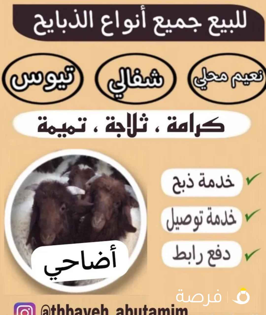 أضاحي للبي