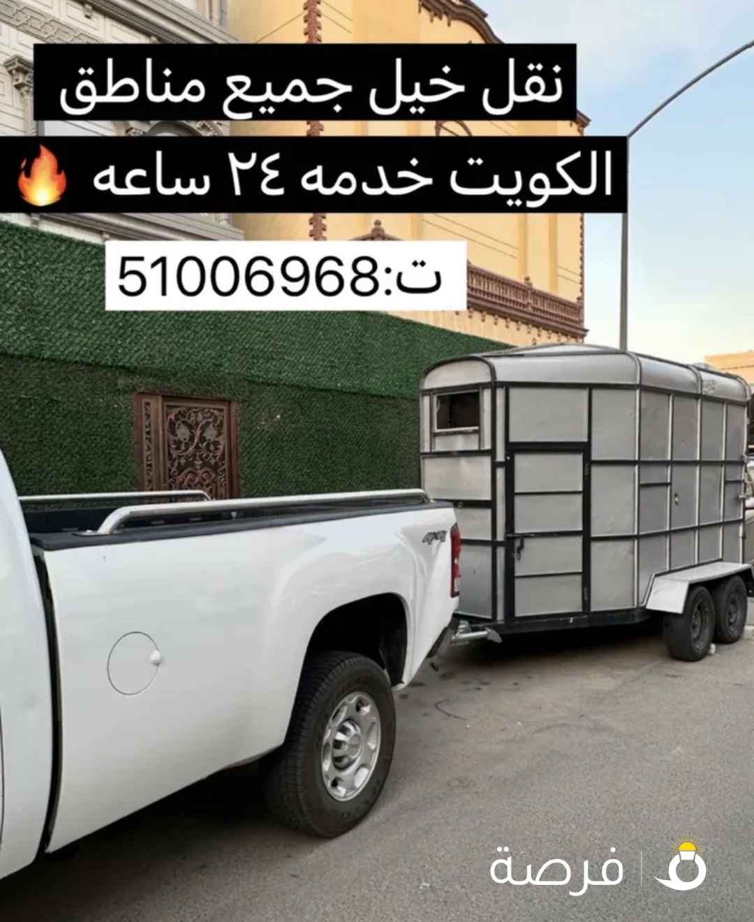 نقل خيل 24 ساعة