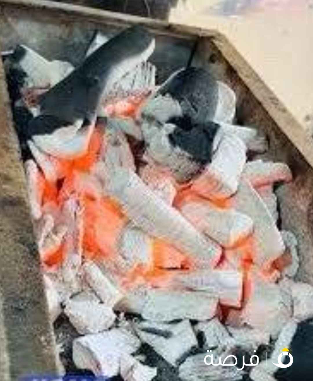 يوجد فحم سلوم وفواكه ممتاز شرط الجوده