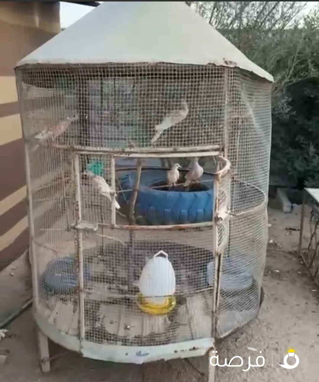 للبيع محمية ياكربم برق