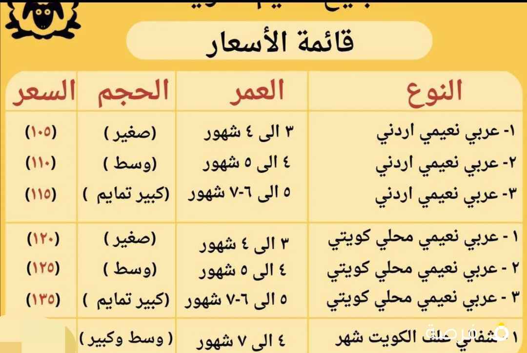 خرفااان للبيع حسب النوع التوصيل بخمسه تقطيع ب3 خروف كامل نعيمى شفالى اردنى محلى كل واحد سعره غيرر