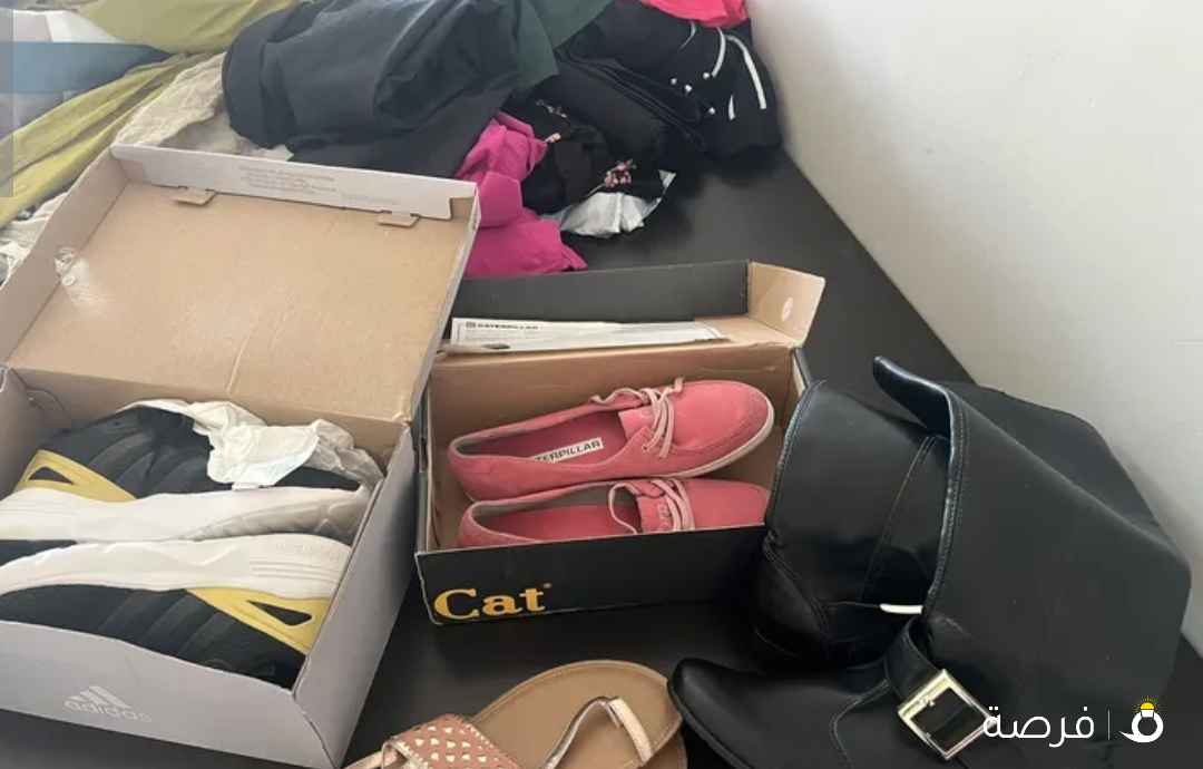 All brand new shoes adidas / caterpillar -