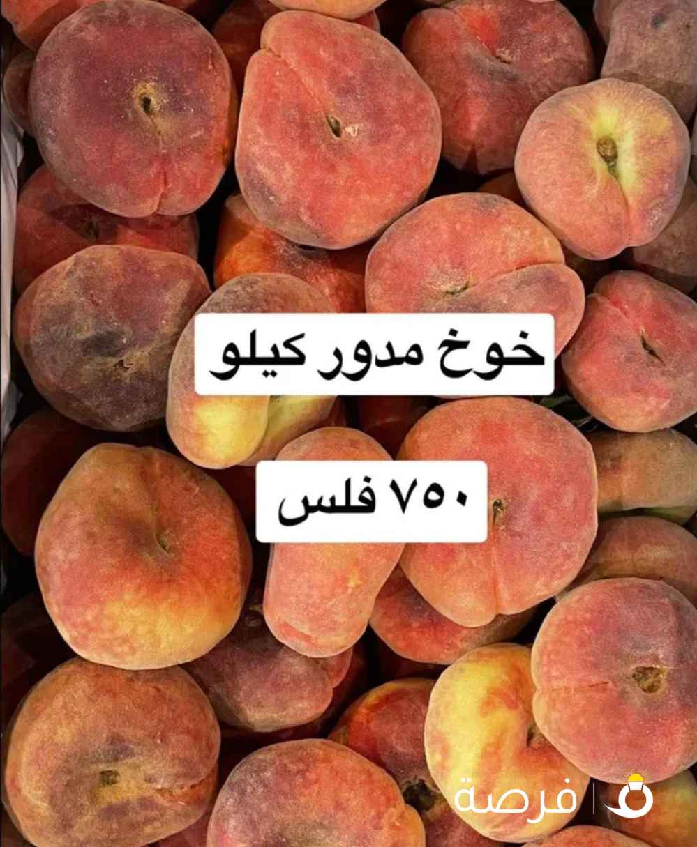 لوجي للخضار والفواكه