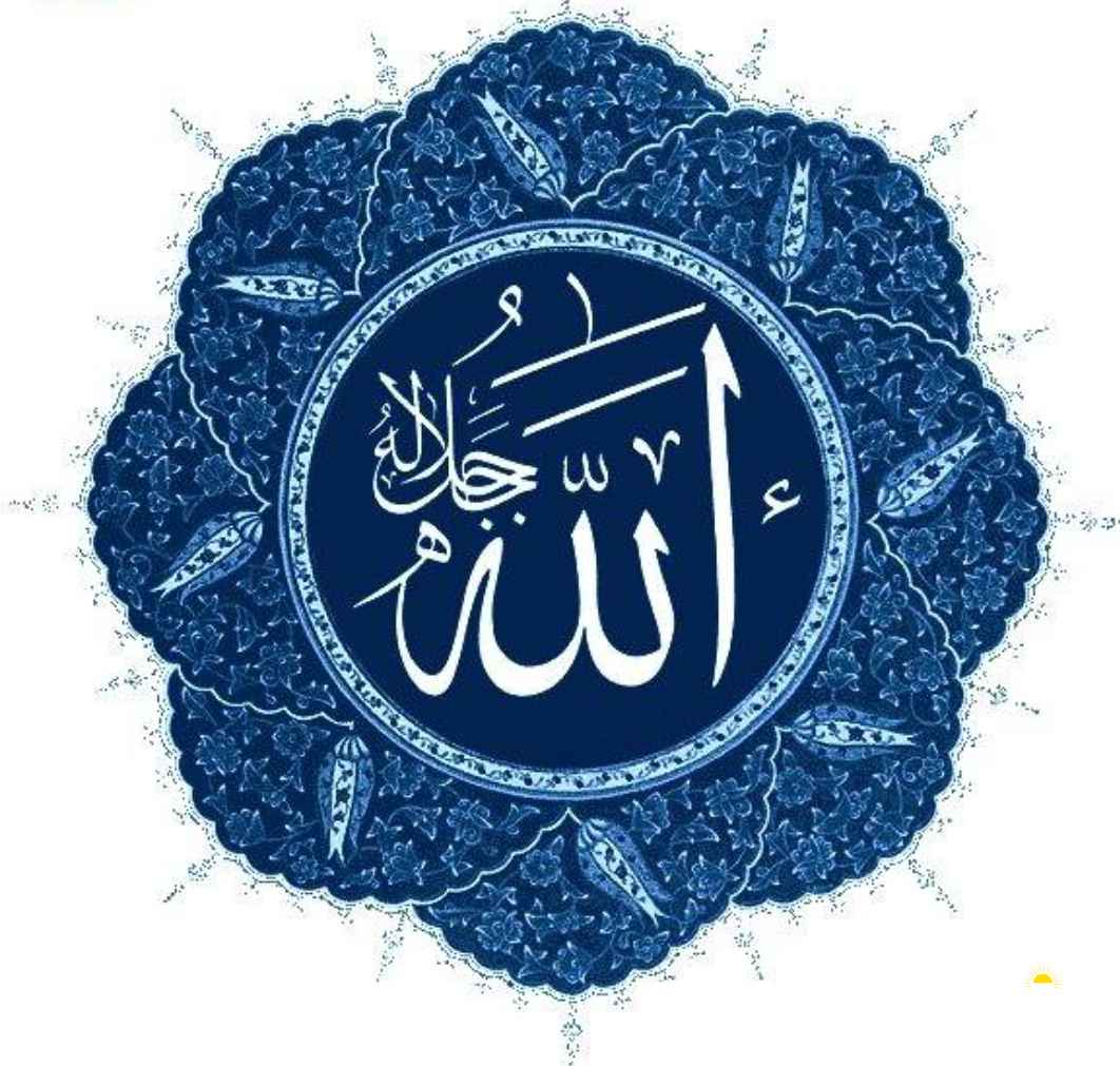 ابحث عن اي وظيفه انا من فئة البدون