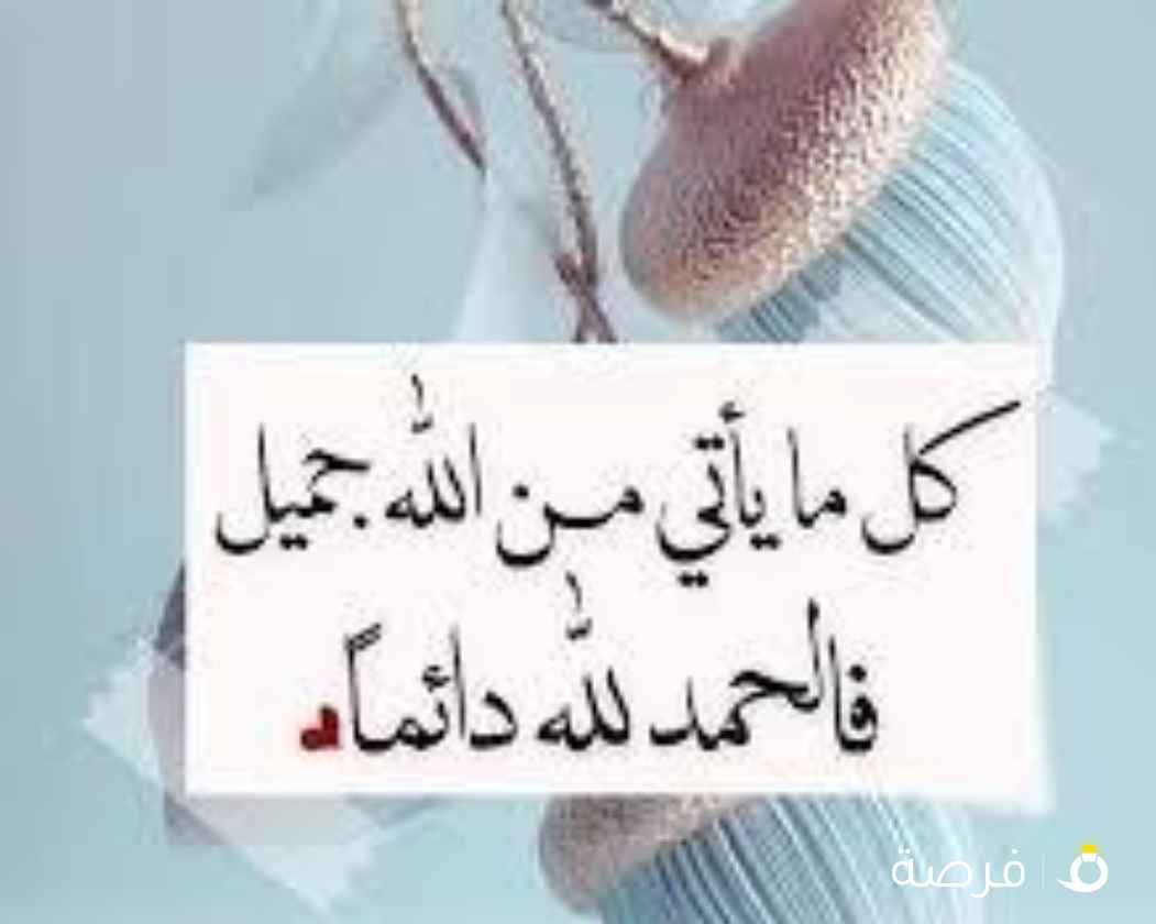 عندي رخصة خاصة أبحث عن عمل