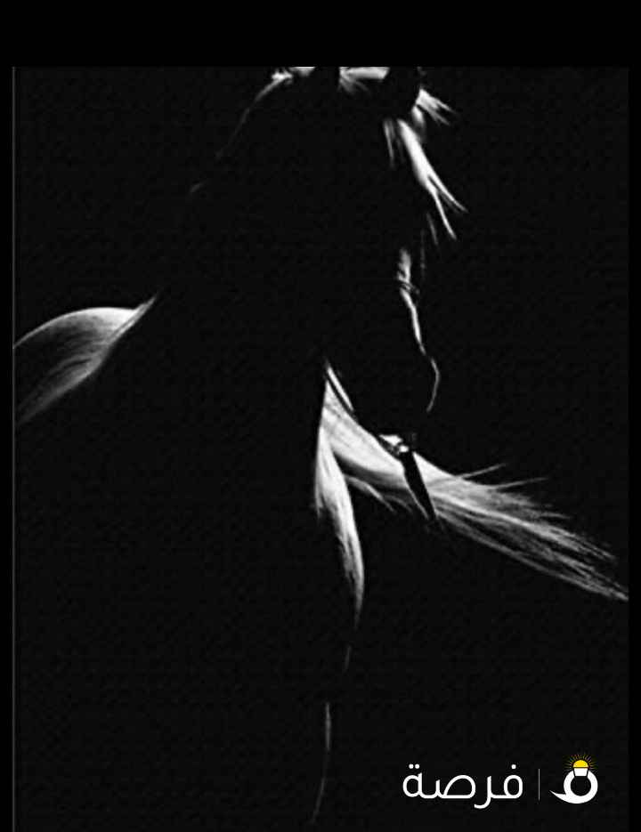 مطلوب موظف تسويق ومبيعات ميداني