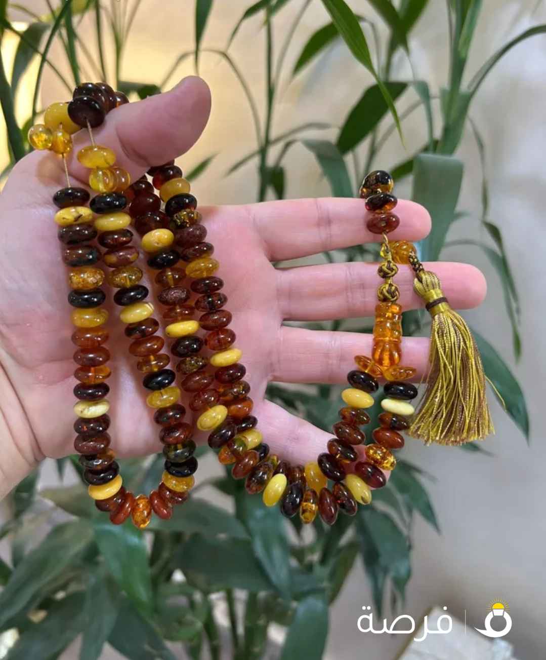 بيعه سريعه مسباح كهرب ماكنتوش ذروي