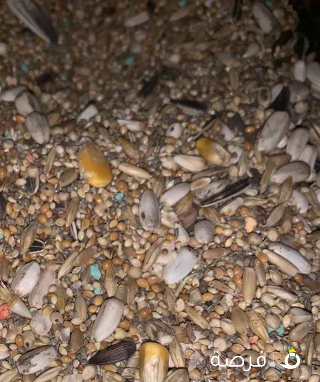 درة للأعلاف