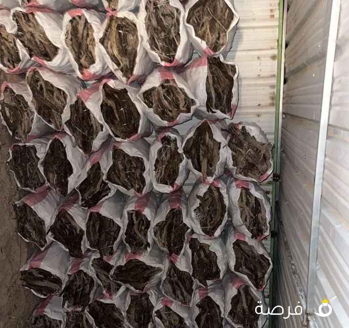 للبيع رمث سعودي جروم كبار