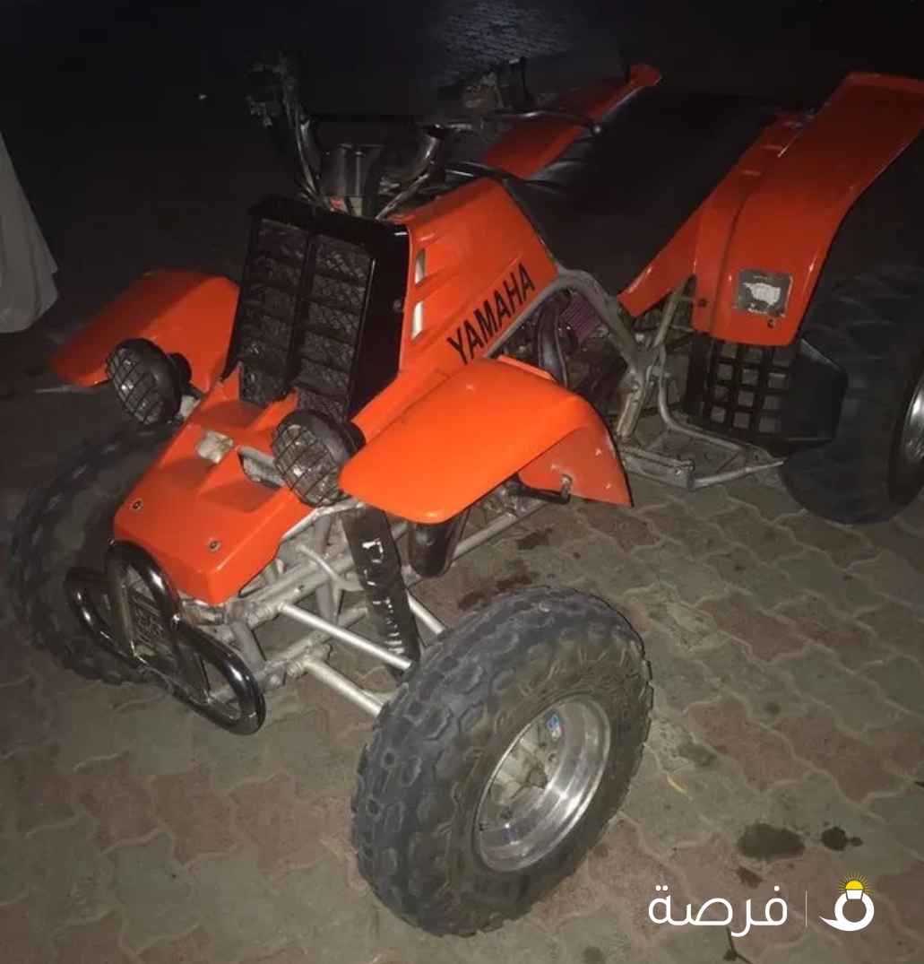 اطالب بانشي يمشي 95.100