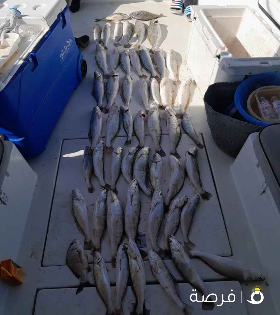 طراد للايجار حداق رحلات بحرية توصيله جزر تأجير قوارب نزهة في البحر ايجار طراد داخل الكويت حداق ووناس