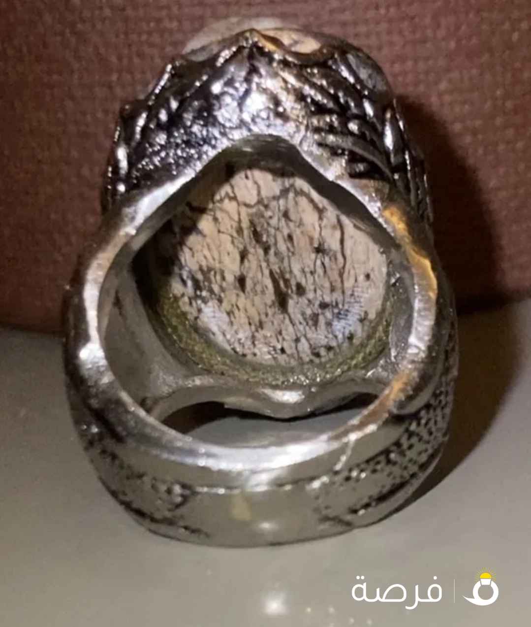 حجر ملاقط طبيعي