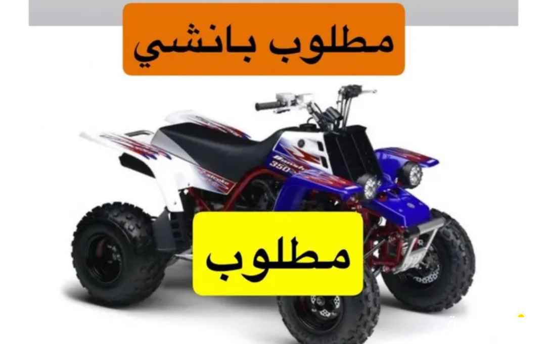 مطلوب بانشي الميزانيه مفتوحه