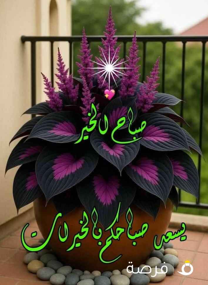 دكتور بحاجه للعمل في الكويت