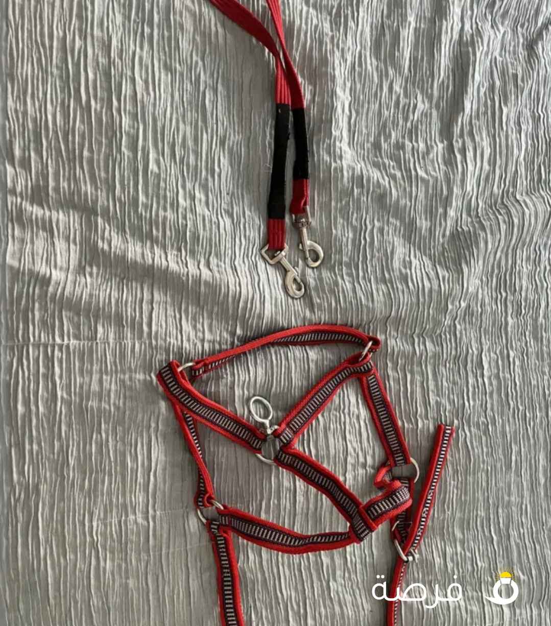 لباده ركوب جديده معى طقم رشمه