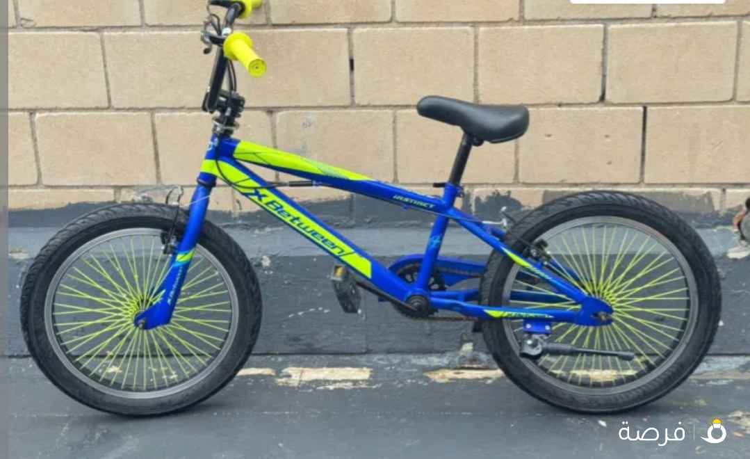 اللبيع قاري جديد