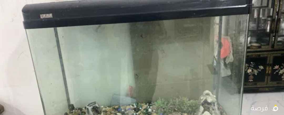 البيع حوض سمك كبير جدا نضيف