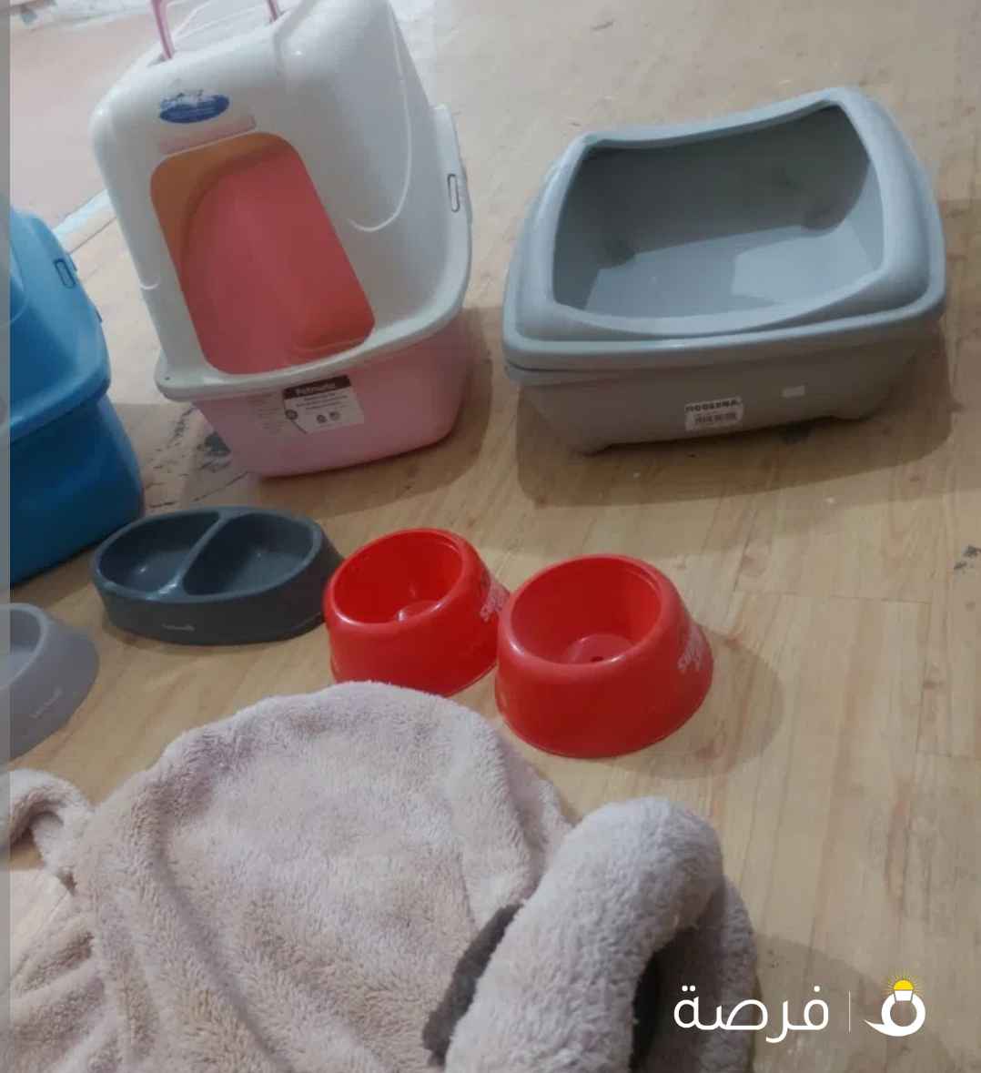 اغراض قطه للبيع