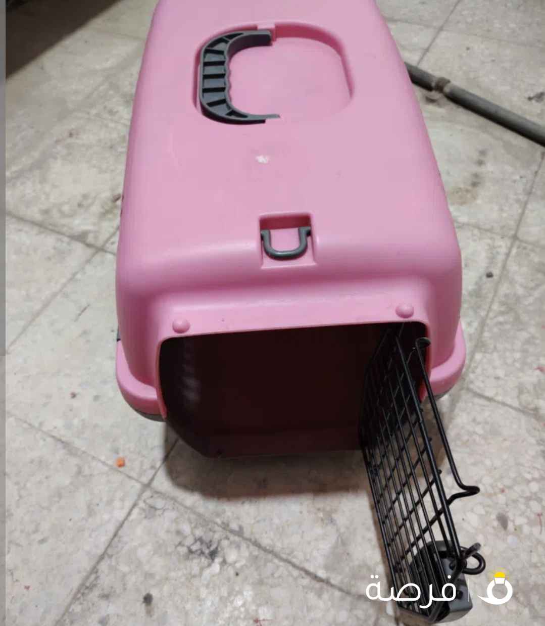 قفص قطط نظيف