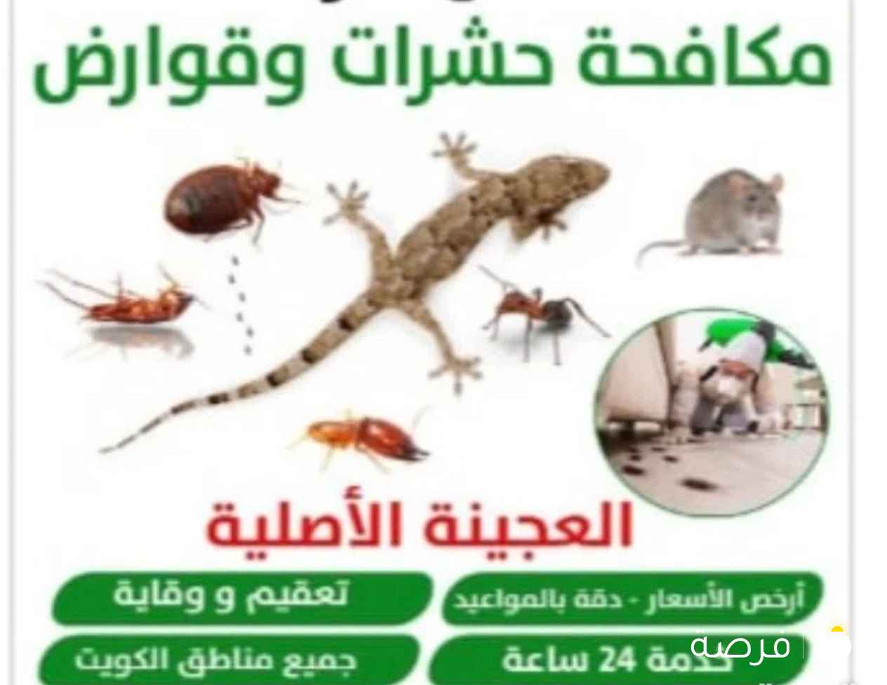 مكافحة جميع الحشرات والقوارض جميع مناطق الكويت