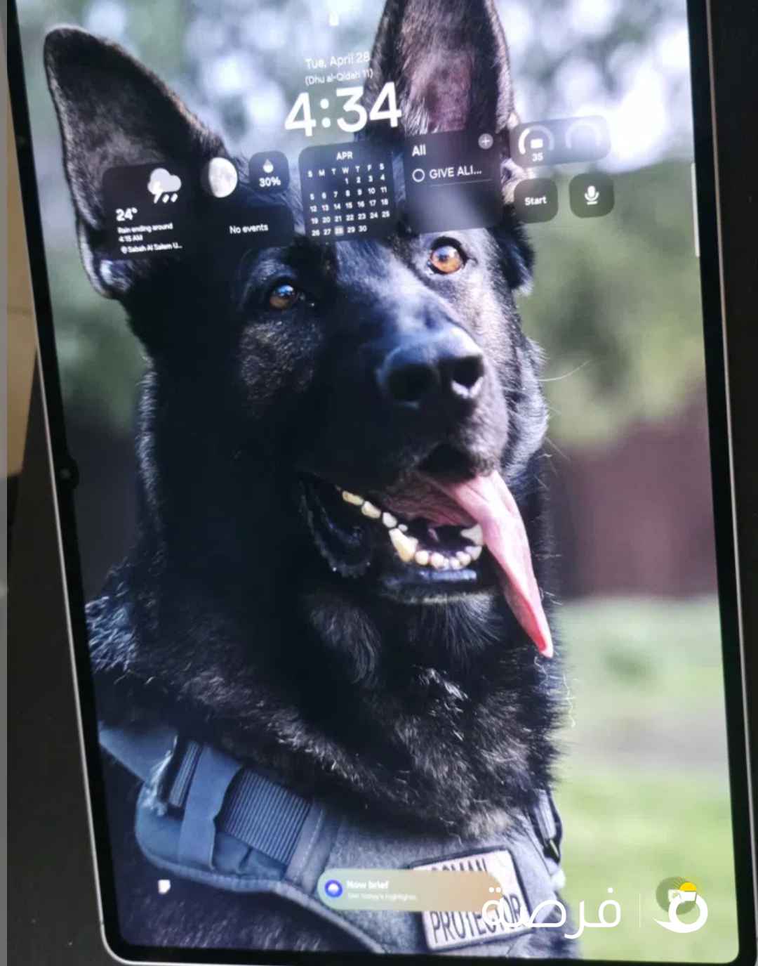 Samsung⁩⁩ ⁦⁦Galaxy⁩⁩ ⁦⁦Tablet⁩⁩ ⁦⁦S11⁩⁩ ⁦⁦Ultra⁩⁩ "⁦⁦14.6⁩⁩ تابلت سامسونج اس ⁦⁦11⁩⁩ الترا ⁦⁦14⁩⁩ انش