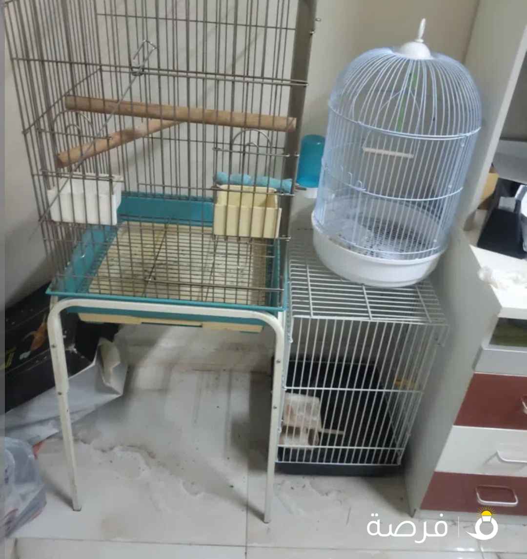 أقفاص طيور