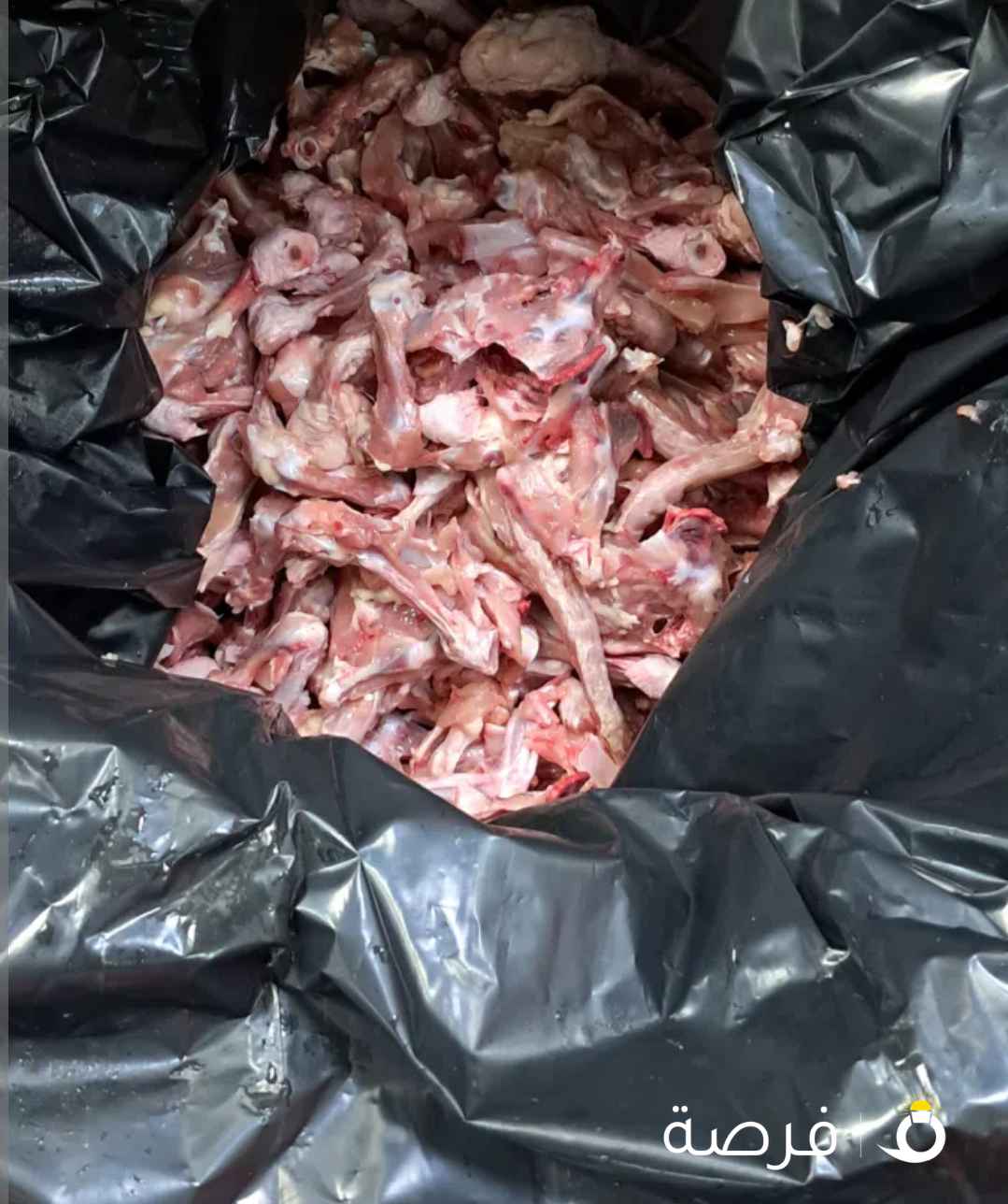 اكل كلاب (،هياكل وجوانح )