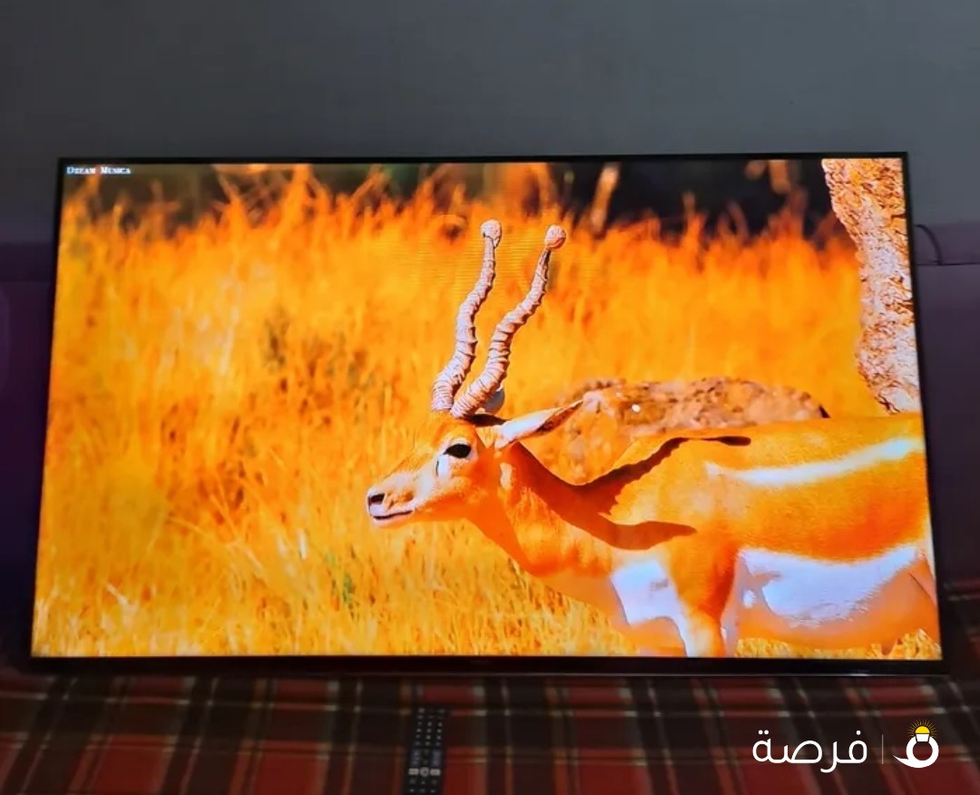 شاشة سامسونج سمارت اندرويد 55 بوصة للبيع وضوح ممتاز