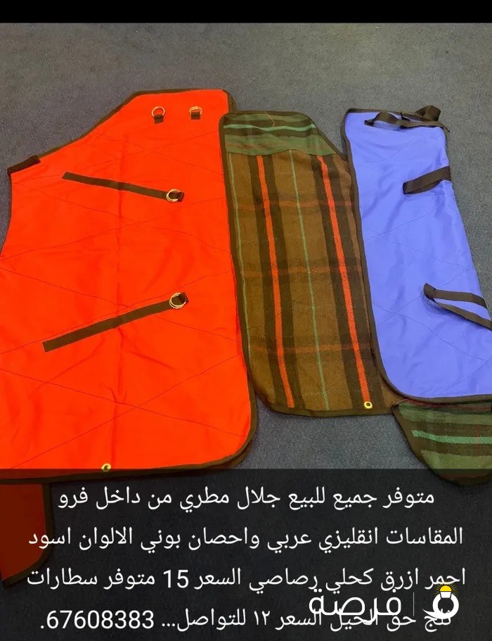 البيع اجلالت خيل مطريه