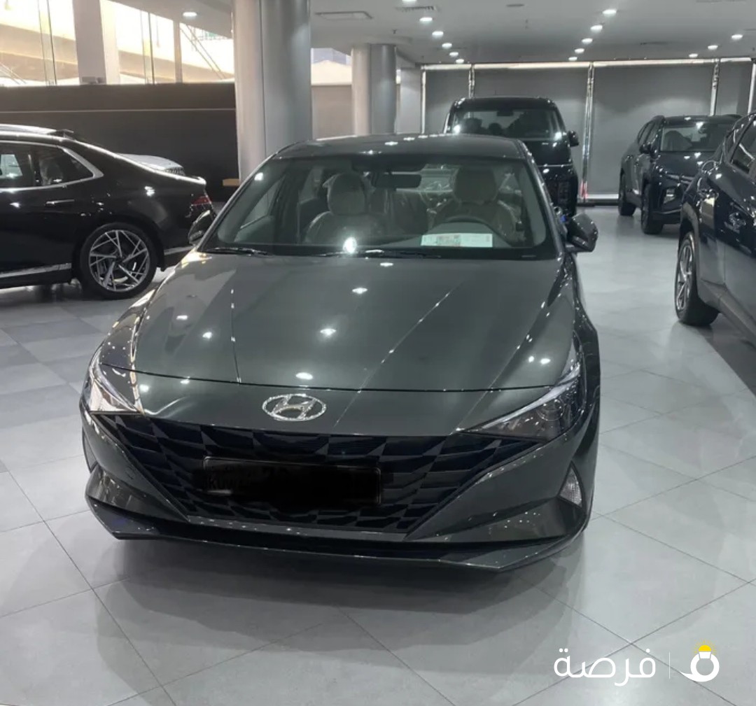 هيونداي النترا 2023 اصفار