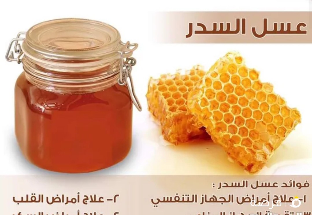 عسل السدر الدوعني اليمني